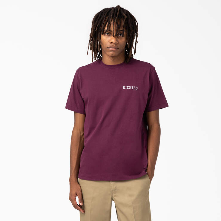 Cleveland Short Sleeve Graphic T-Shirt - Grape Wine (GW9) image number 2