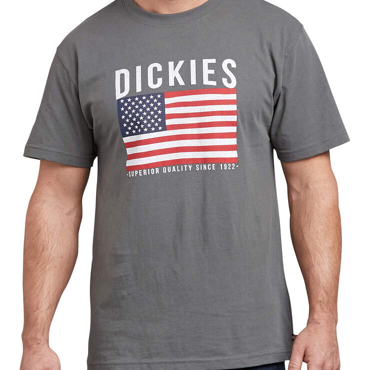 T-shirt imprimé avec drapeau américain - Stone Gray (SNG) numéro de l’image 1