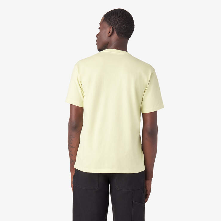 T-shirt Quinter de skateboard Dickies - Pale Green (AEG) numéro de l’image 2
