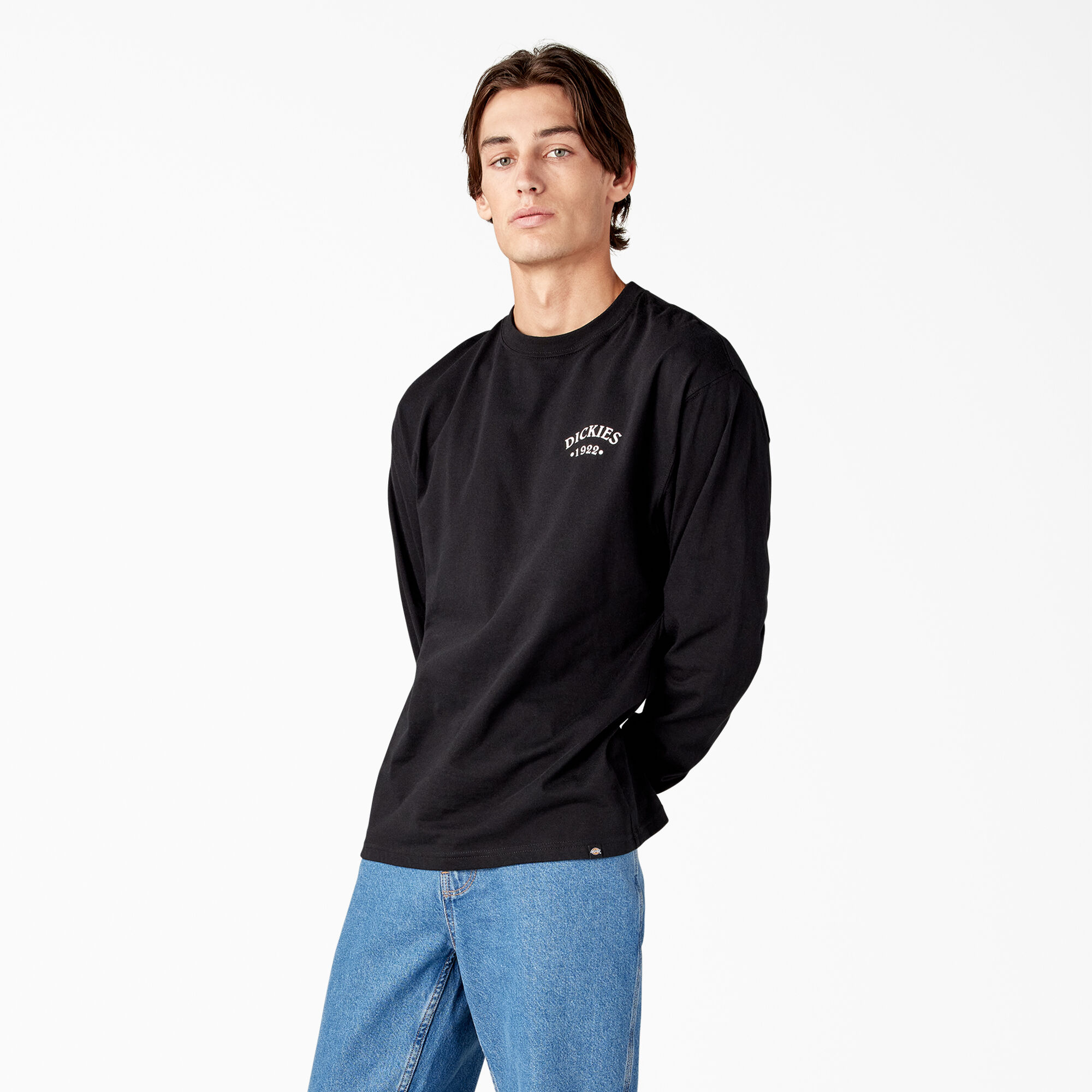 Dickies plain t shirt online