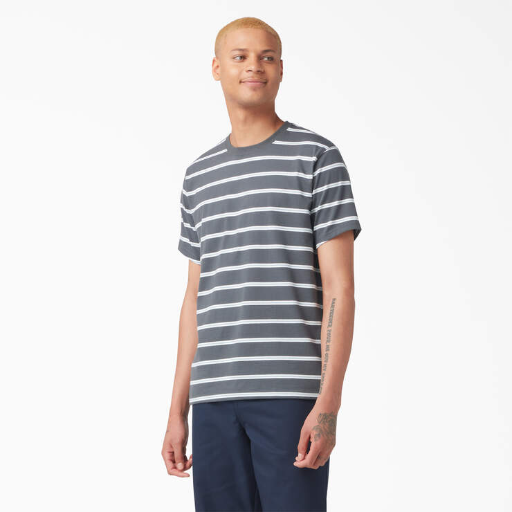 T-shirt rayé de skateboard Dickies - Charcoal Mini Stripe (CSM) numéro de l’image 1