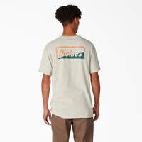T-shirt de skateboard Dickies avec imprimé Split - Oatmeal Heather (OA)