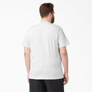 Short Sleeve Two Pack T-Shirts - Ash Gray &#40;AG&#41;
