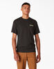 T-shirt de skateboard Dickies avec imprim&eacute; Split - Black &#40;BK&#41;