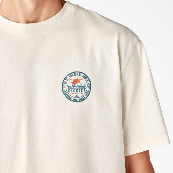 Greensburg Graphic T-Shirt - Stone Whitecap Gray &#40;SN9&#41;