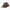 Casquette de camionneur - Dark Brown &#40;DB&#41;