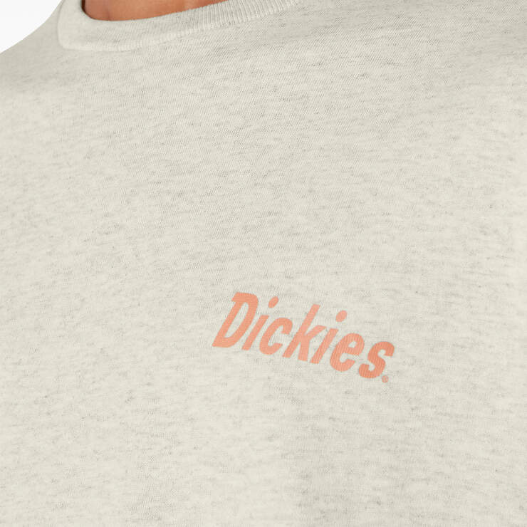 T-shirt de skateboard Dickies avec imprimé Split - Oatmeal Heather (OA) numéro de l’image 5