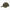 Casquette 100&nbsp;ans - Moss Green &#40;MS&#41;