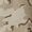 Dickies Skateboarding Mid Pro Cap - Desert Sand Camo &#40;DNC&#41;
