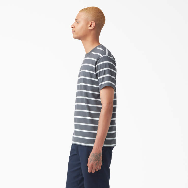 T-shirt rayé de skateboard Dickies - Charcoal Mini Stripe (CSM) numéro de l’image 3