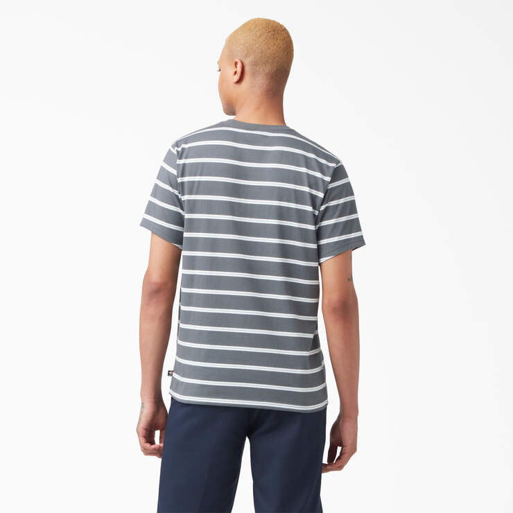T-shirt rayé de skateboard Dickies - Charcoal Mini Stripe (CSM) numéro de l’image 2