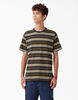 Dickies Skateboarding Striped T-Shirt - Black/Moss Stripe &#40;B2S&#41;