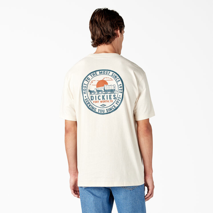 Greensburg Graphic T-Shirt - Stone Whitecap Gray &#40;SN9&#41;