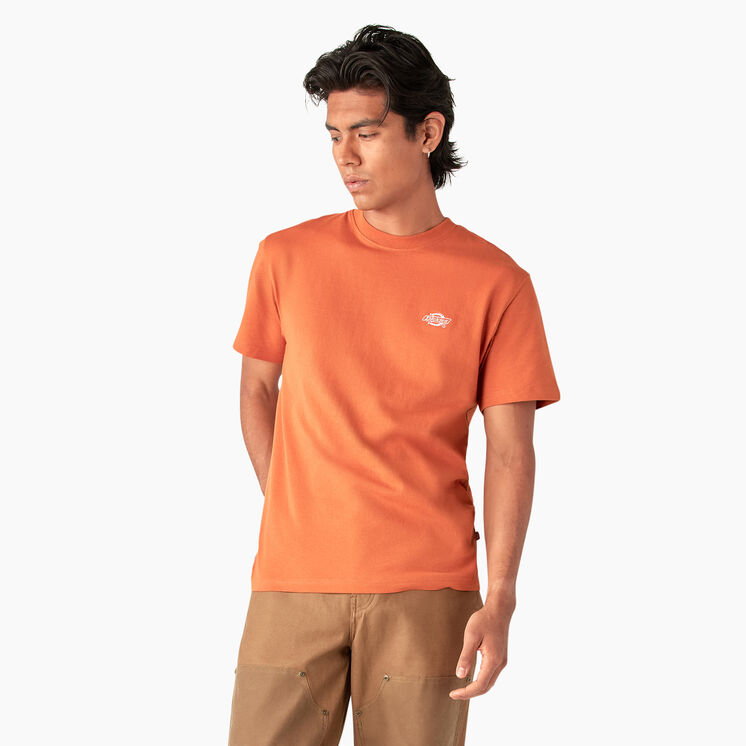 Summerdale Short Sleeve T-Shirt - Bombay Brown &#40;B2B&#41;