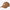 Dickies x Jameson Embroidered Cap - Brown Duck &#40;BD&#41;