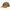 Casquette de camionneur en toile - Brown Duck &#40;BD&#41;
