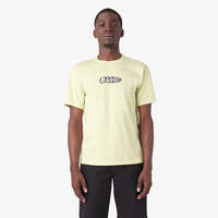 T-shirt Quinter de skateboard Dickies - Pale Green (AEG)