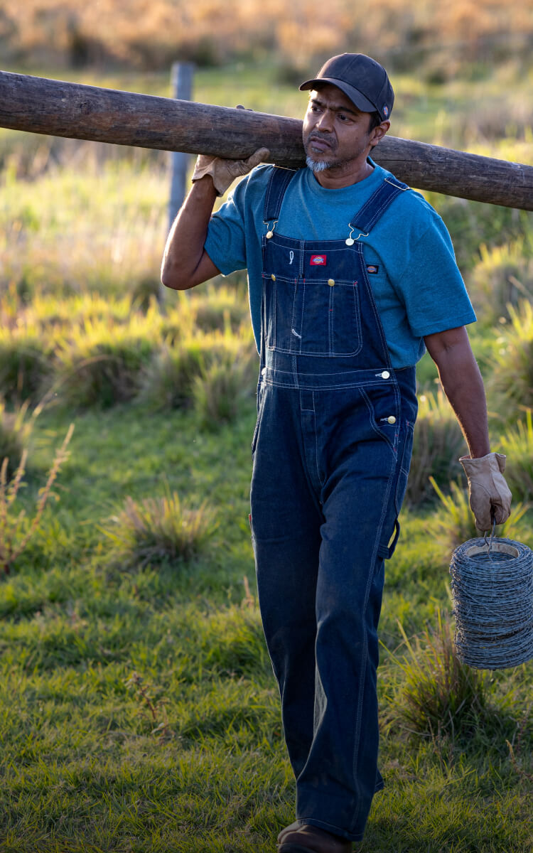 a worker carrying a long piece of wood while wearing bib overalls
