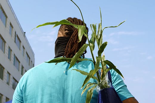 Chef Fullilove explores new sites and sounds in sunny Los Angeles.